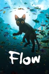 Movie poster: Flow: Straume (2024)