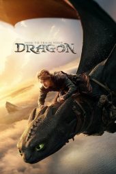 Movie poster: How to Train Your Dragon (2025)
