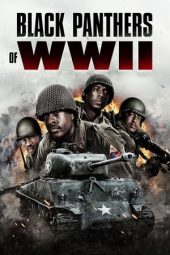 Movie poster: Black Panthers of WWII (2025)